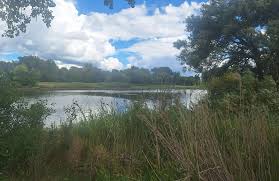 Saginaw River Headwaters Rec Area